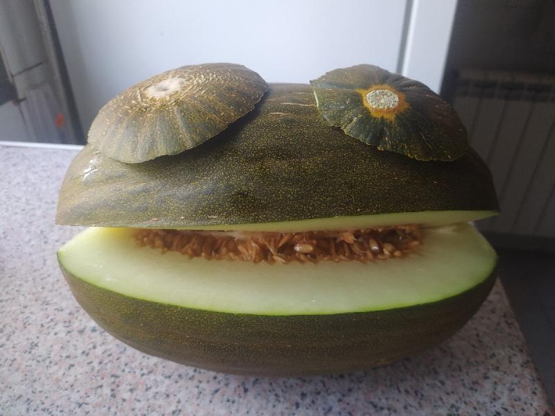 Melón feliz